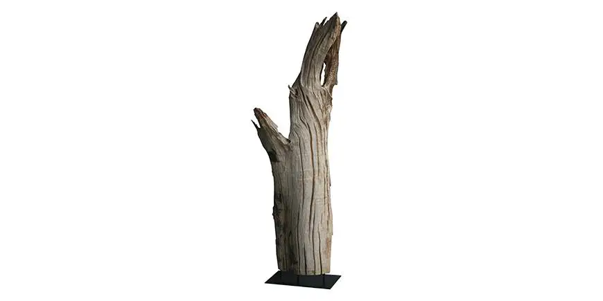 WOOD 2